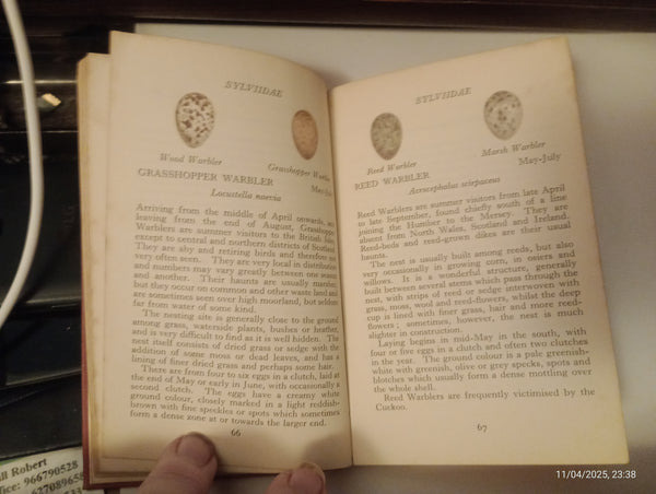 The Observer's Book of British Birds' Eggs Vintage Hb